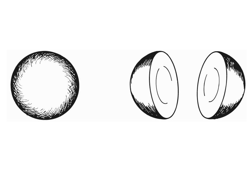 hA©misphA¨re-demi-circulaire Coloriage hA©misphA¨re-demi-circulaire