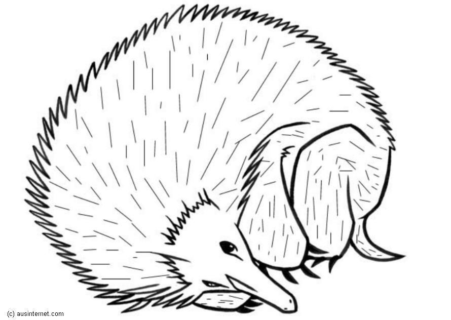 hA©risson Coloriage hA©risson