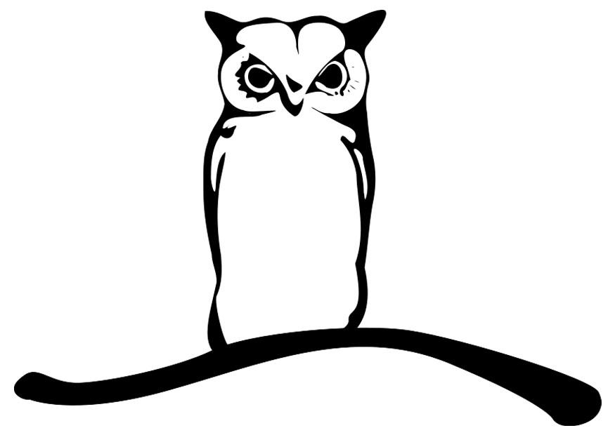 hibou sur branche Coloriage hibou sur branche