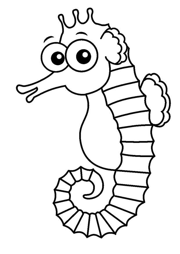 Coloriage hippocampe
