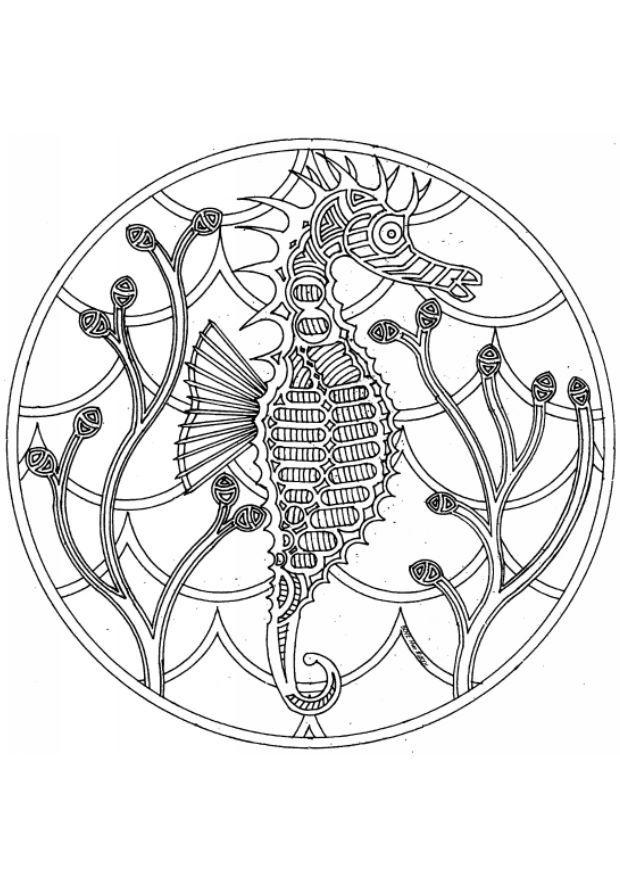 hippocampe Coloriage hippocampe