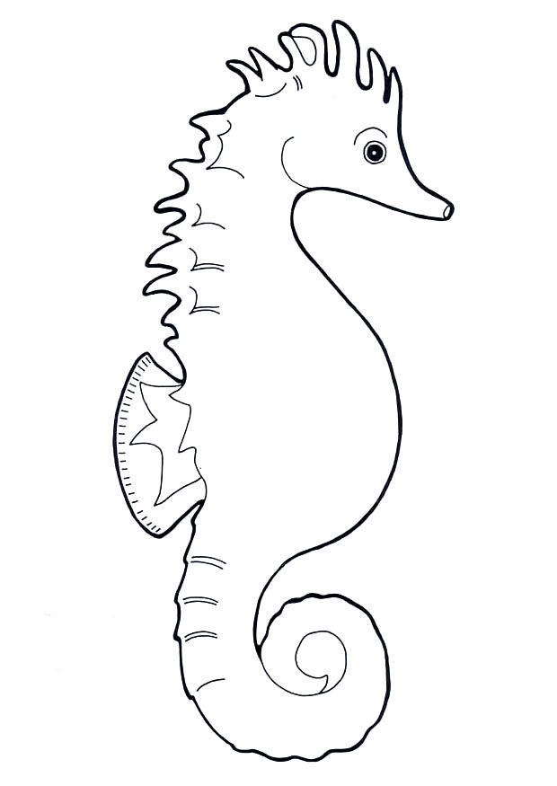 hippocampe Coloriage hippocampe