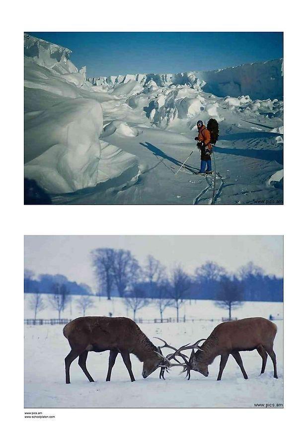 hiver Photo hiver
