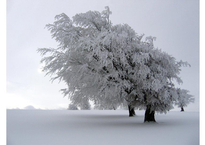 hiver Photo hiver