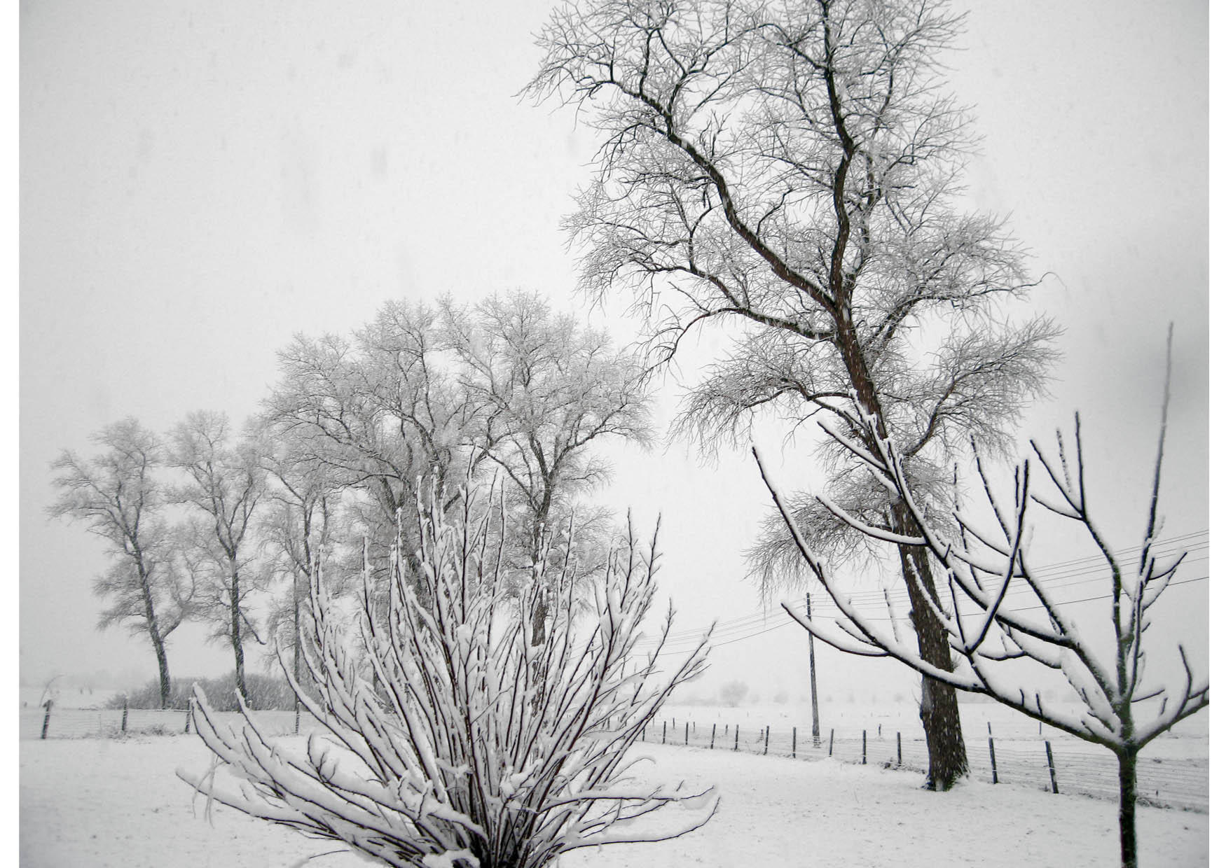 hiver Photo hiver