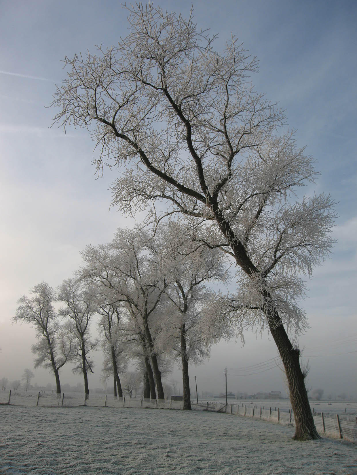 hiver Photo hiver