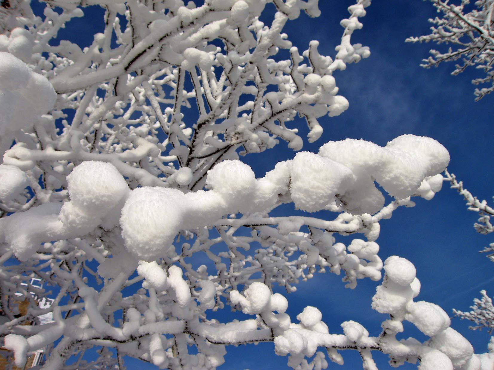 hiver Photo hiver