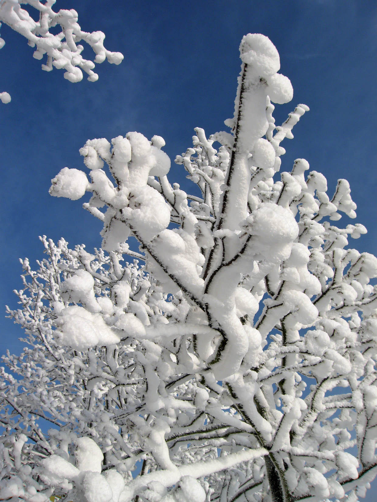 hiver Photo hiver