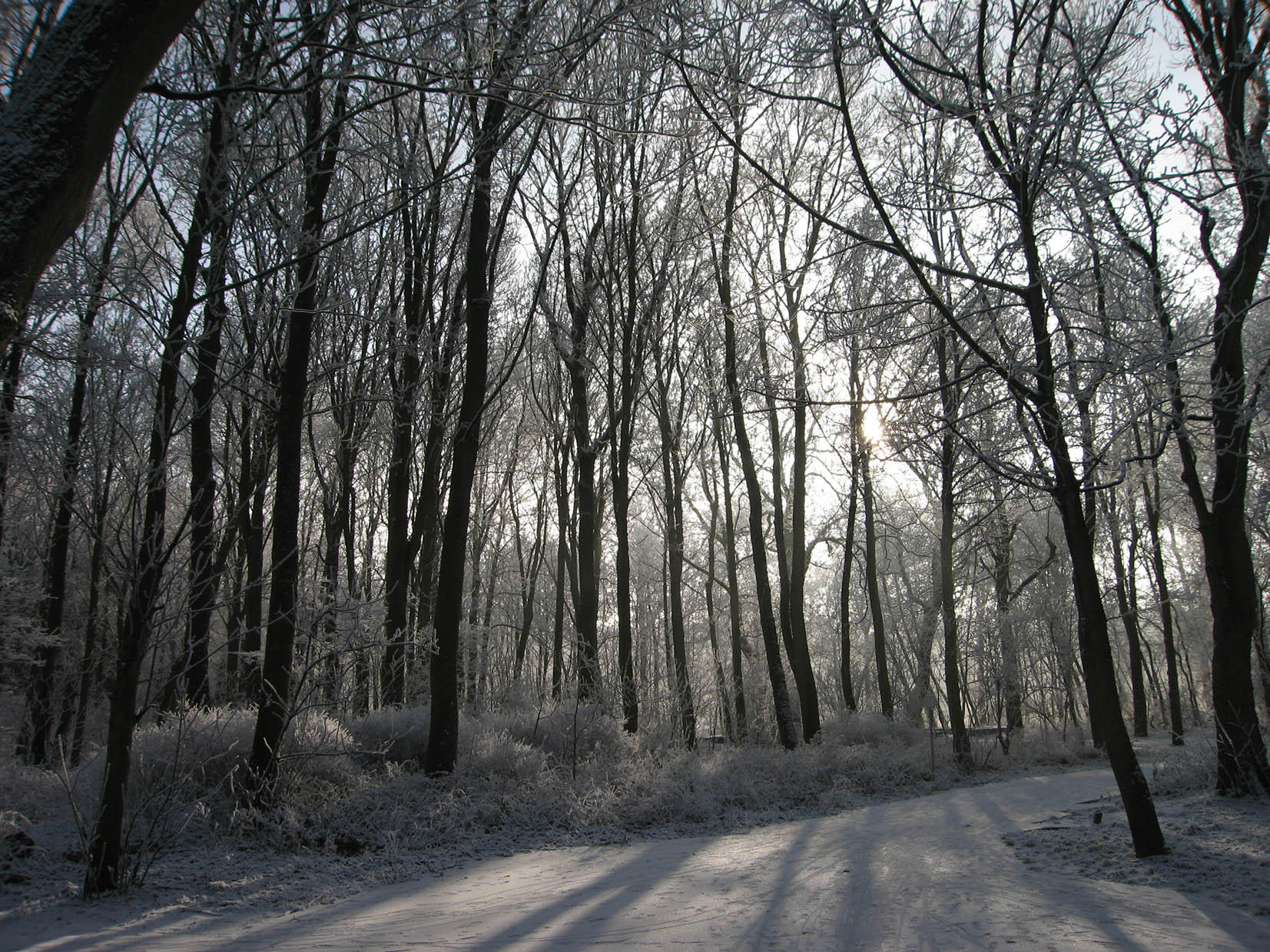 hiver Photo hiver