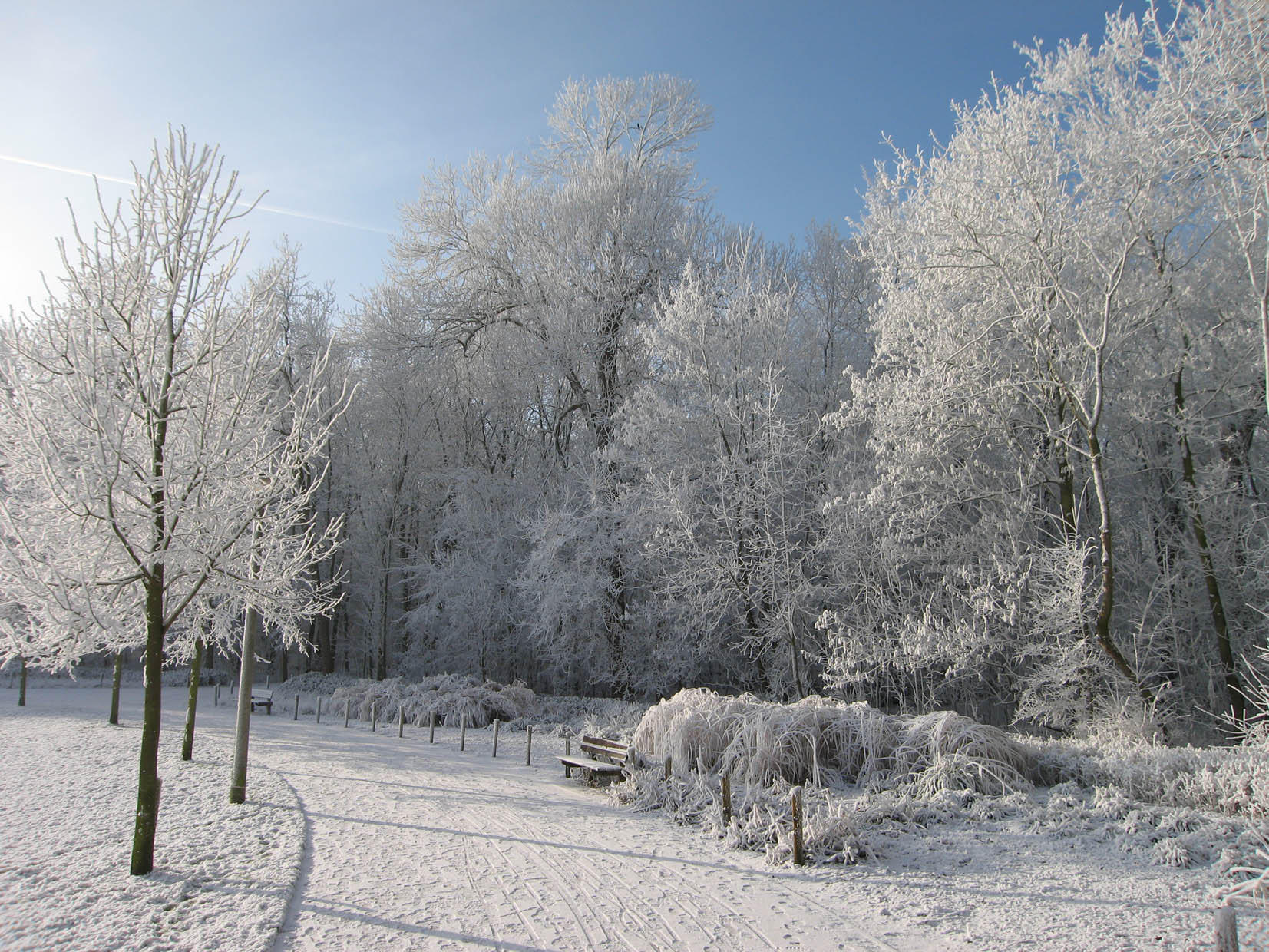 hiver Photo hiver