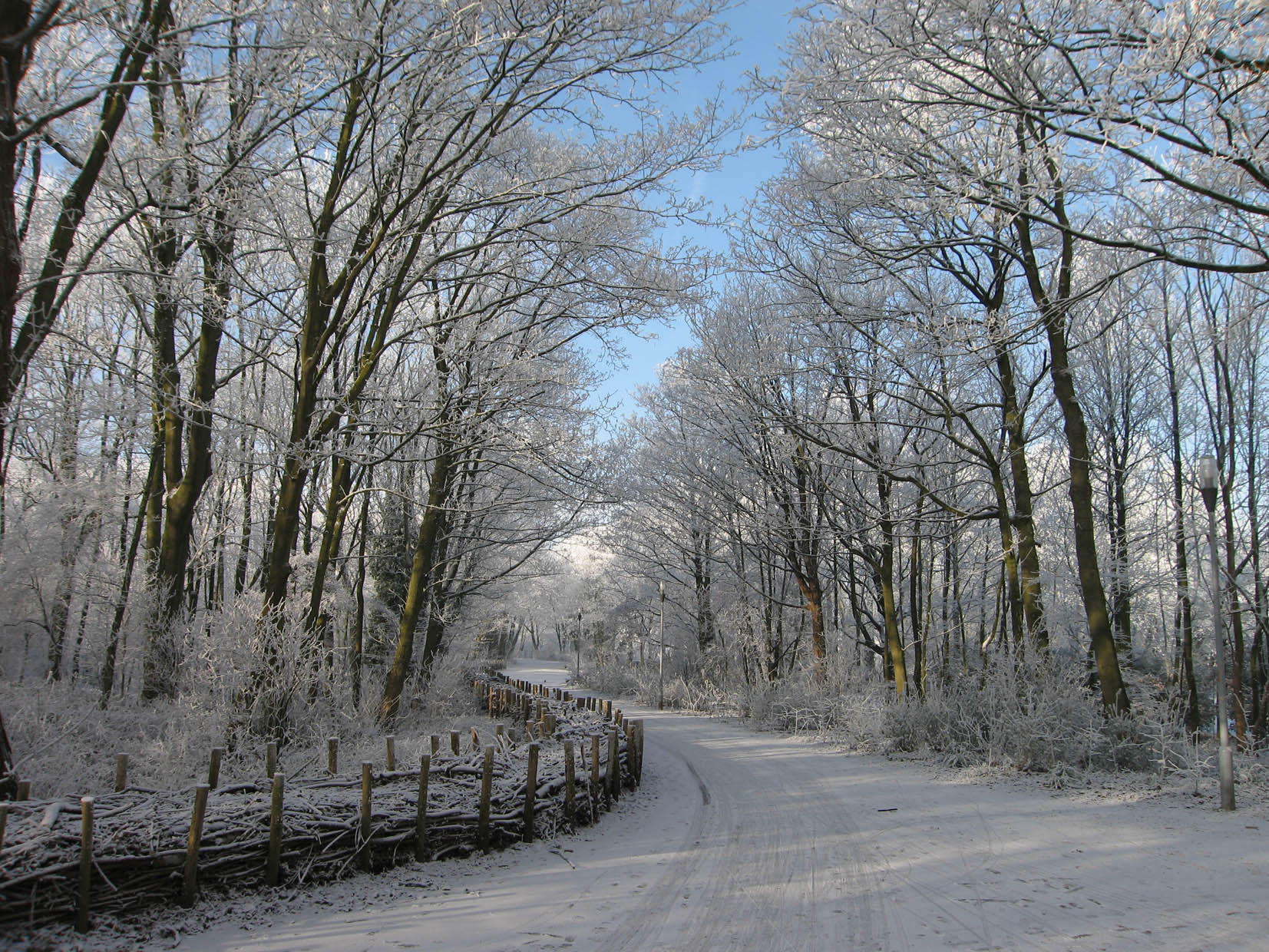 hiver Photo hiver