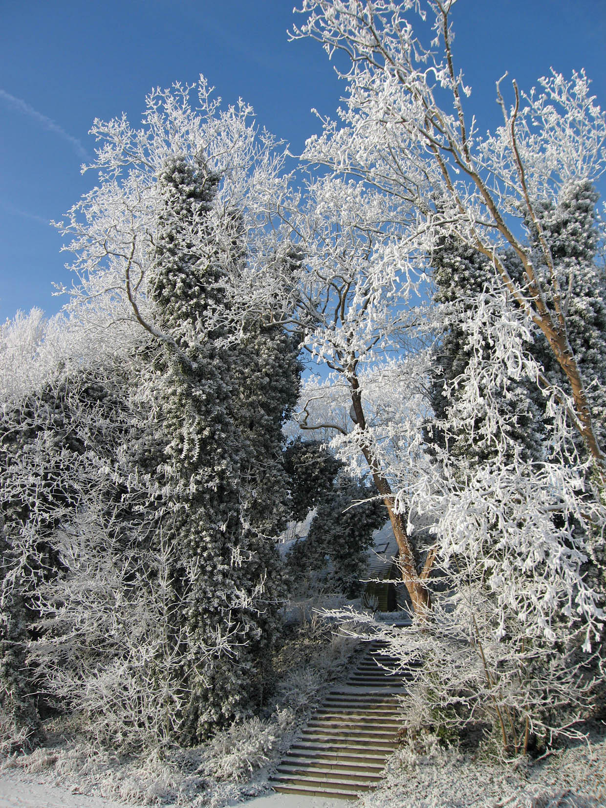 hiver Photo hiver