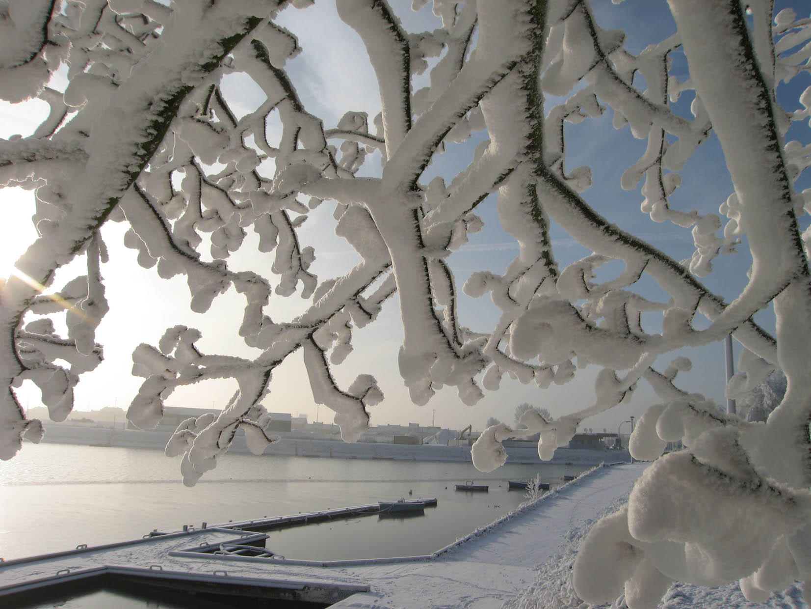 hiver Photo hiver