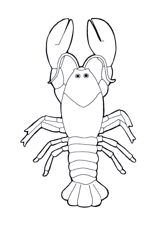 homard Coloriage homard