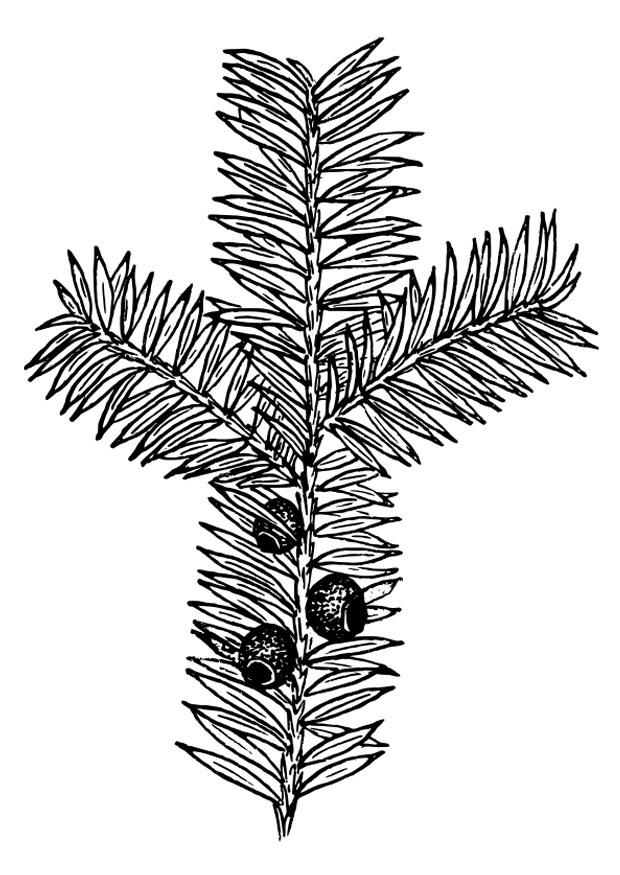 if Coloriage if