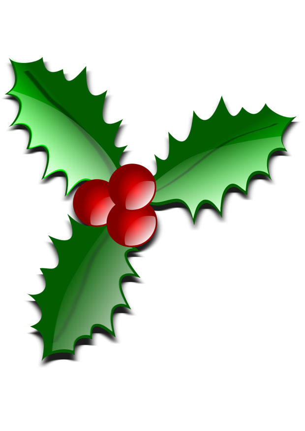 ilex Image ilex