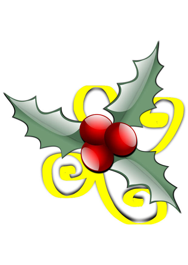 ilex Image ilex