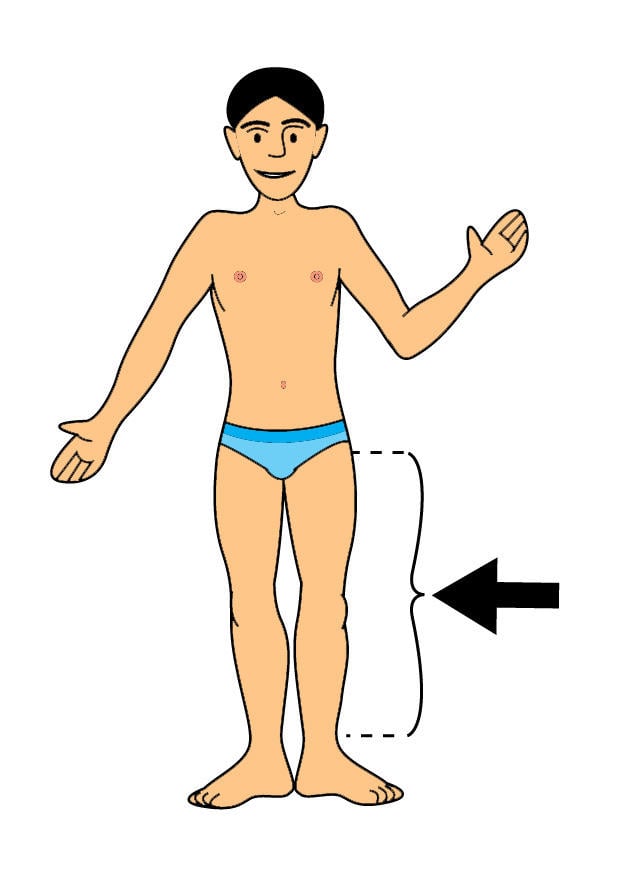 Image jambe