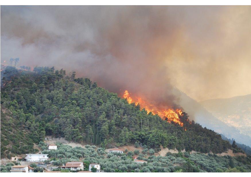 incendie de forAªt Photo incendie de forAªt