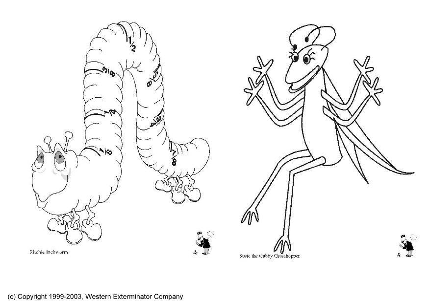 insectes Coloriage insectes