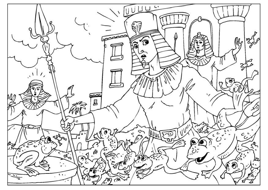 invasions de grenouilles Coloriage invasions de grenouilles