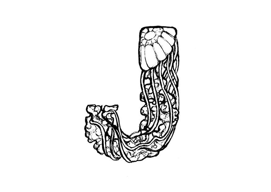 j-jellyfish Coloriage j-jellyfish