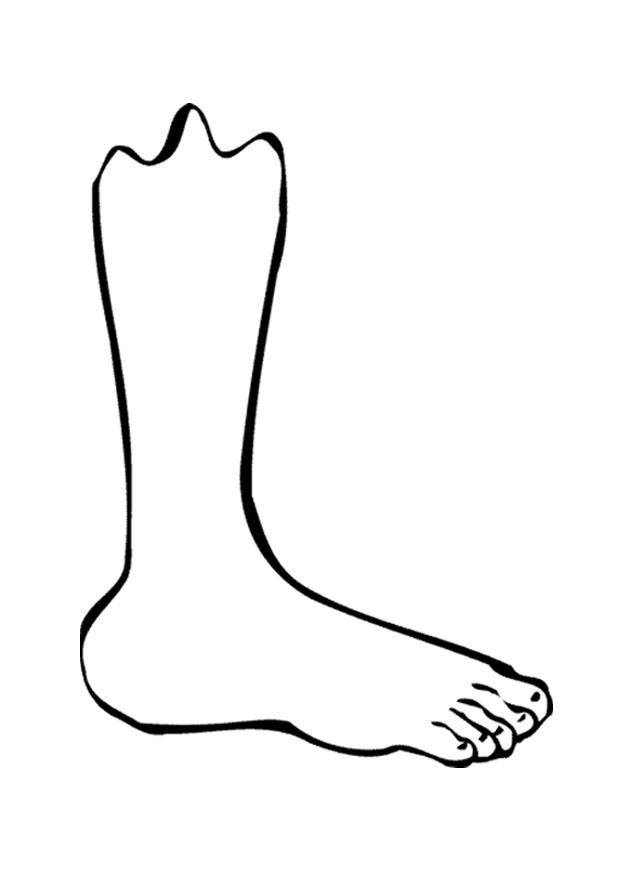 jambe / pied Coloriage jambe / pied