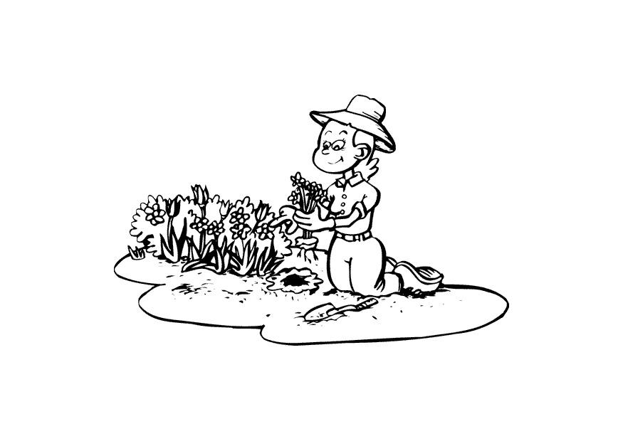 jardiner Coloriage jardiner