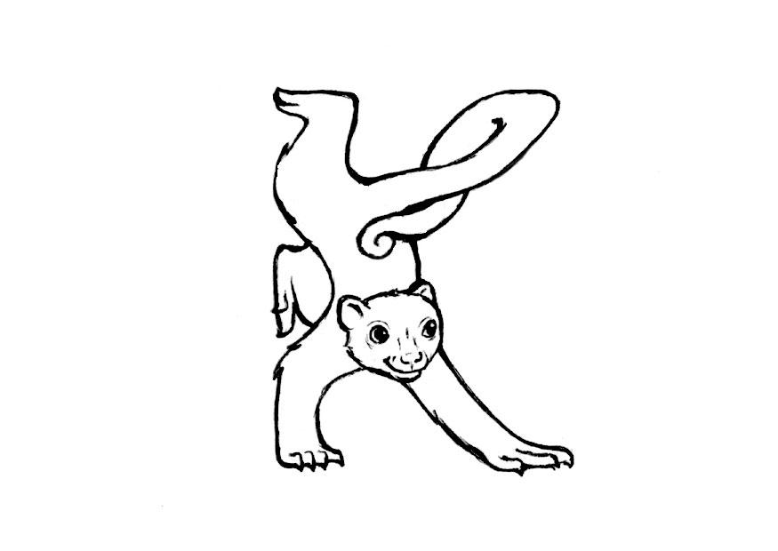 k-kinkajou Coloriage k-kinkajou