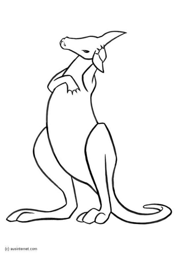 kangourou Coloriage kangourou