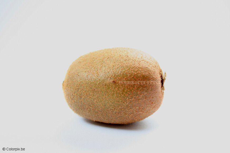 kiwi Photo kiwi