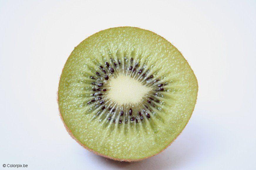 kiwi Photo kiwi
