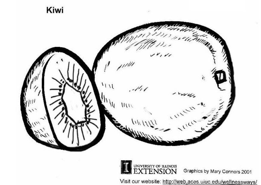 kiwi Coloriage kiwi