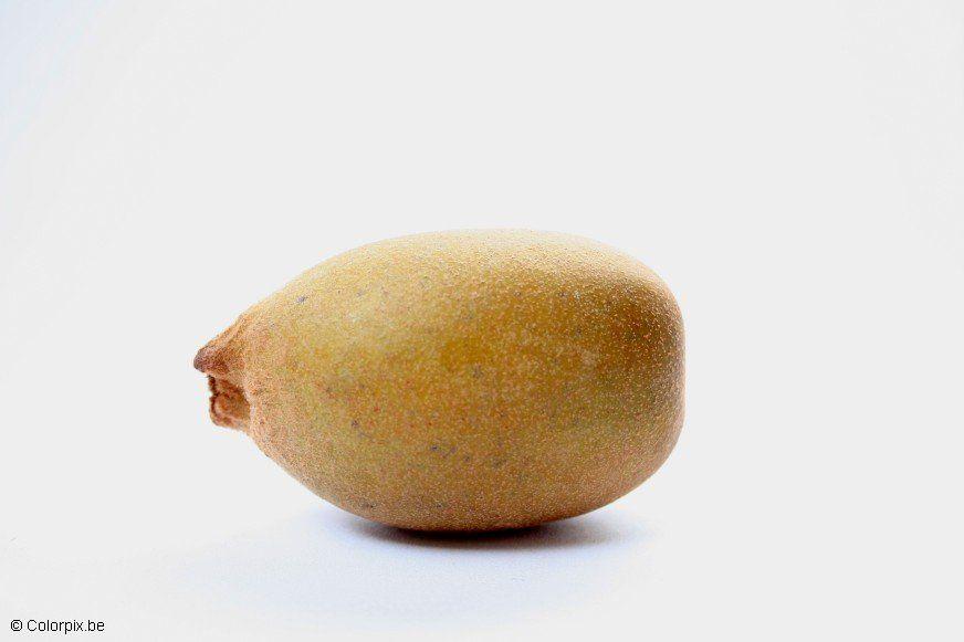 kiwi jaune Photo kiwi jaune