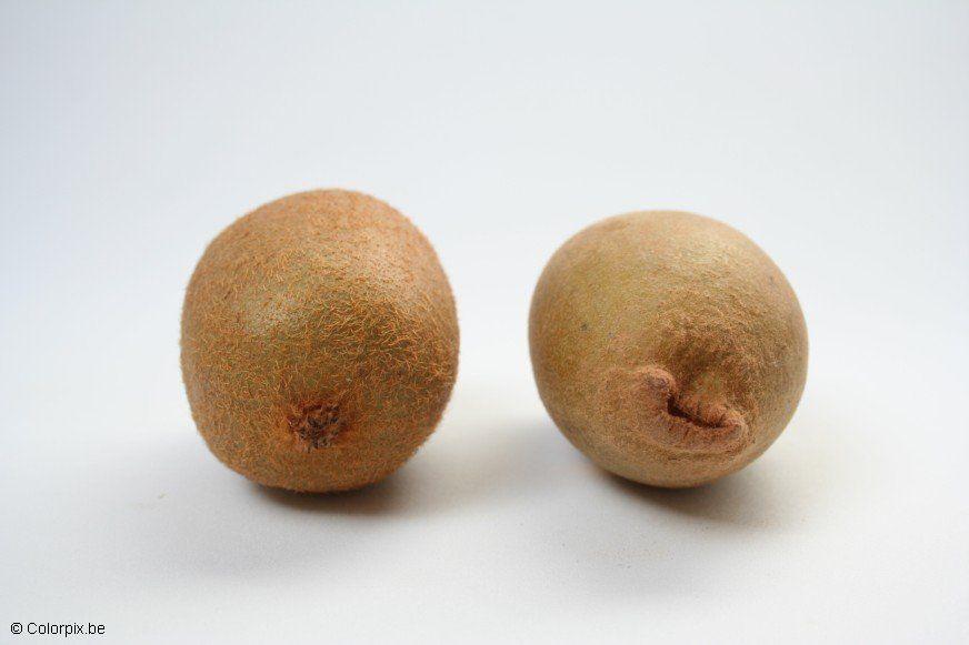 kiwi vert et kiwi jaune Photo kiwi vert et kiwi jaune