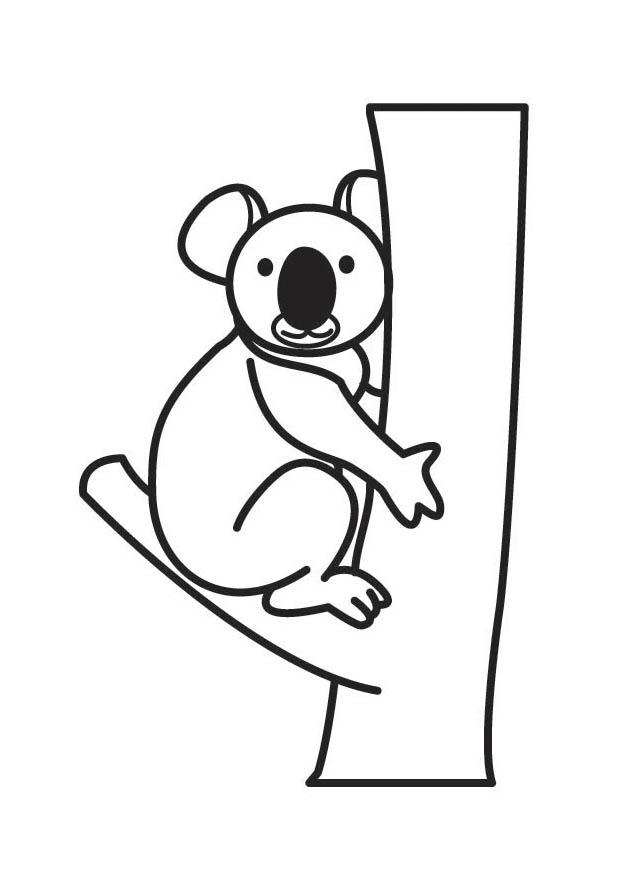 koala Coloriage koala