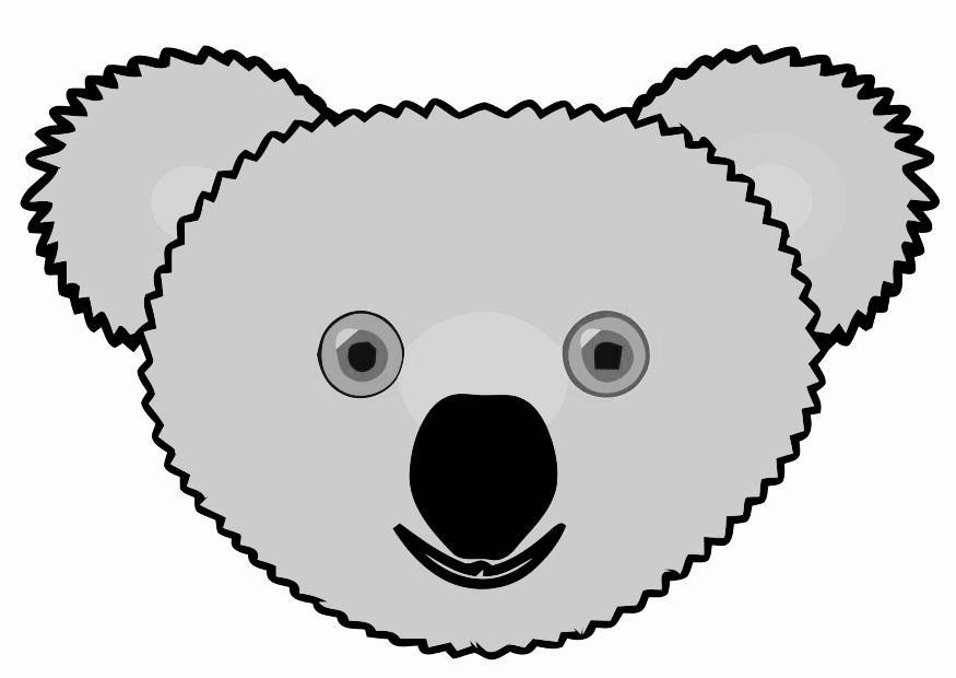 koala Image koala