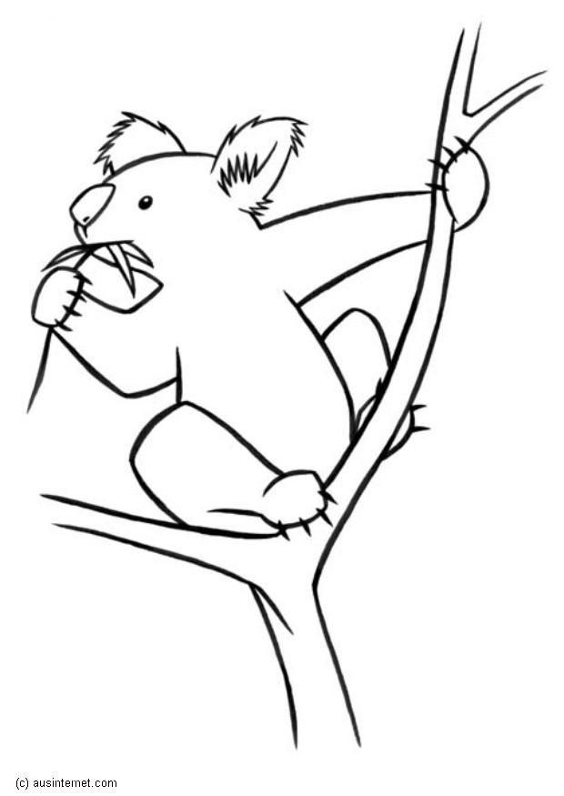 koala Coloriage koala