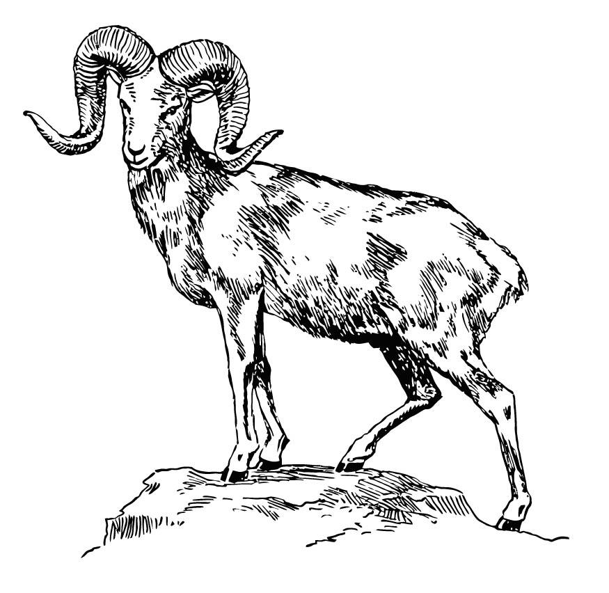largali Coloriage largali