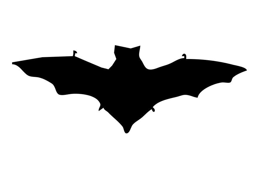 la chauve-souris Coloriage la chauve-souris