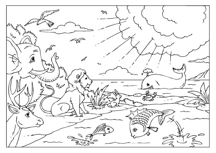 la crA©ation Coloriage la crA©ation