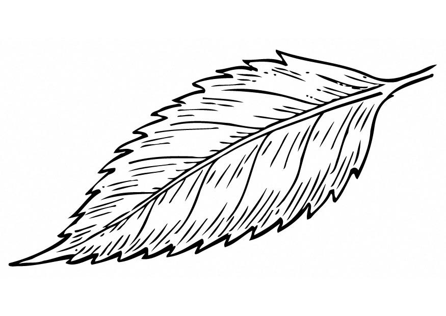 la feuille Coloriage la feuille