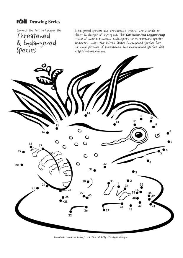 la grenouille Coloriage la grenouille