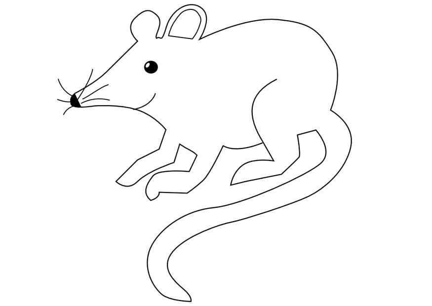 la souris Coloriage la souris