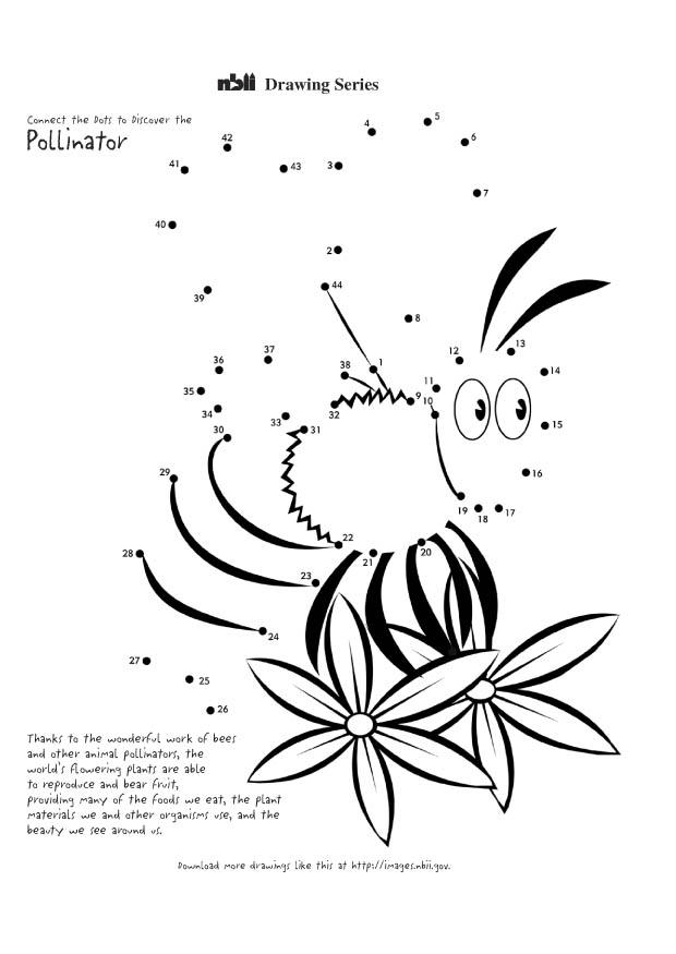 labeille Coloriage labeille