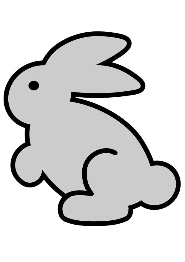 lapin Image lapin