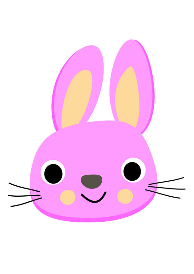 lapin Image lapin