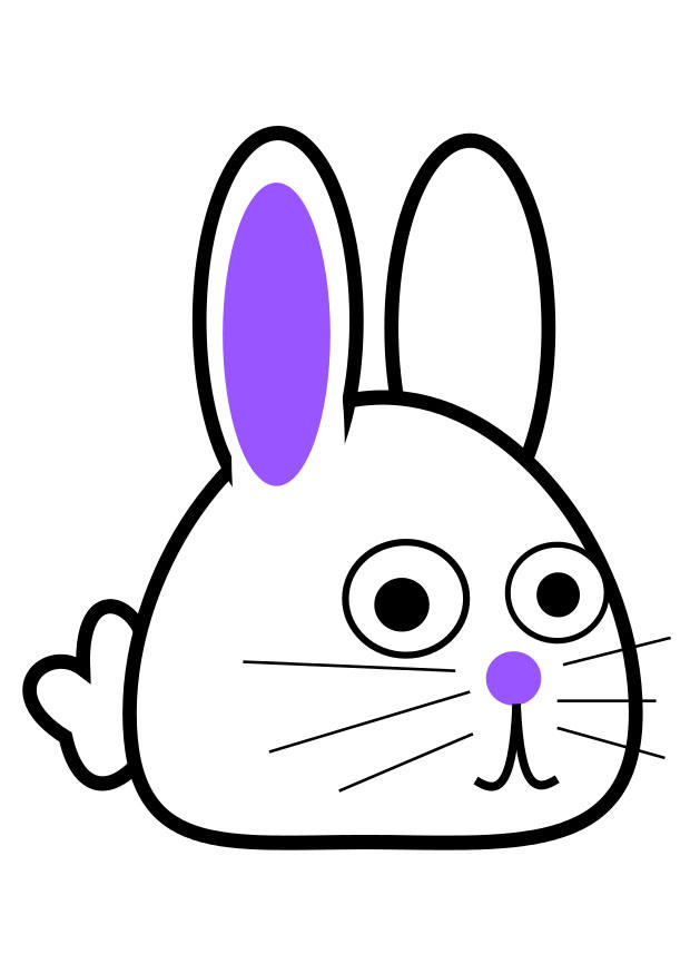 lapin - courbA© Image lapin - courbA©