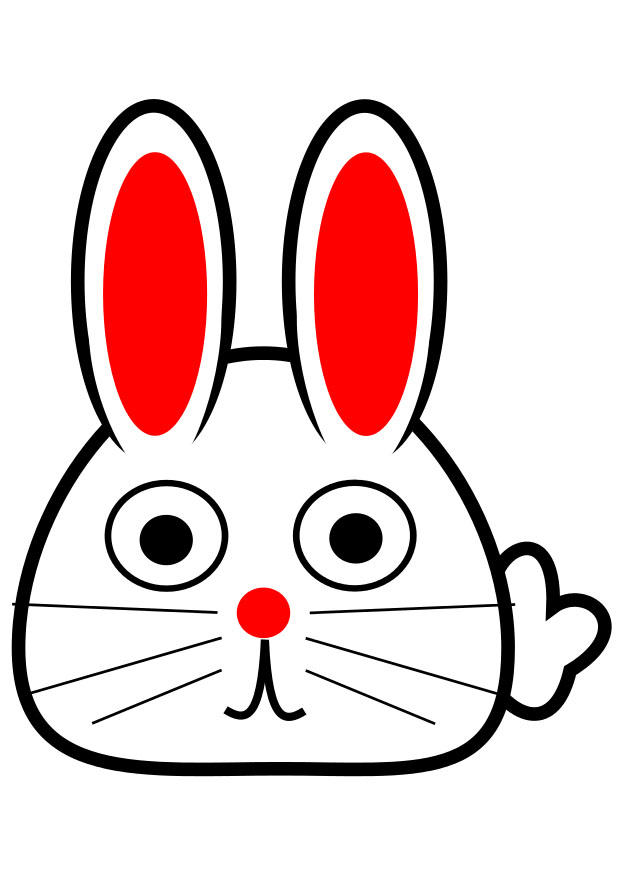 lapin - devant Image lapin - devant