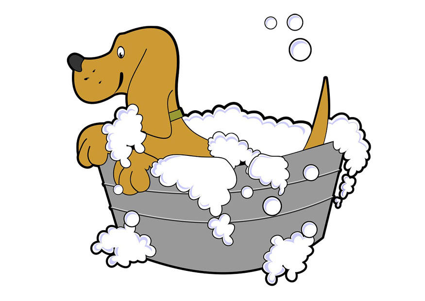 lavage de chien Coloriage lavage de chien